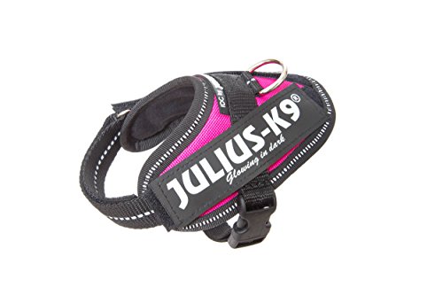 Julius-K9, IDC Powergeschirr, Größe: 3XS / Baby 1, Dunkelpink Julius-K9, IDC Powergeschirr, Größe: 3XS / Baby 1, Dunkelpink von JULIUS K-9