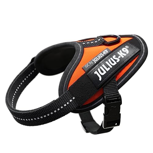 JULIUS K-9 IDC Powergeschirr, Größe: 3XS / Baby 1, UV-Orange, 16IDC-FOR-B1 JULIUS K-9 IDC Powergeschirr, Größe: 3XS / Baby 1, UV-Orange, 16IDC-FOR-B1 von JULIUS K-9
