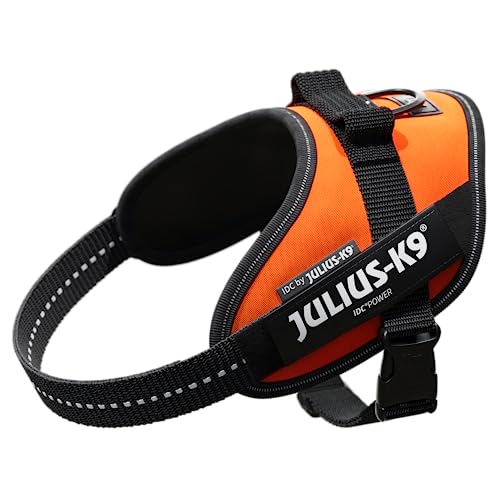 JULIUS K-9 IDC Powergeschirr, Größe: S / Mini, UV-Orange, 16IDC-FOR-M JULIUS K-9 IDC Powergeschirr, Größe: S / Mini, UV-Orange, 16IDC-FOR-M von JULIUS K-9