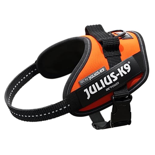 JULIUS K-9 IDC Powergeschirr, Größe: XS / Mini-Mini, UV-Orange, 16IDC-FOR-MM JULIUS K-9 IDC Powergeschirr, Größe: XS / Mini-Mini, UV-Orange, 16IDC-FOR-MM von JULIUS K-9