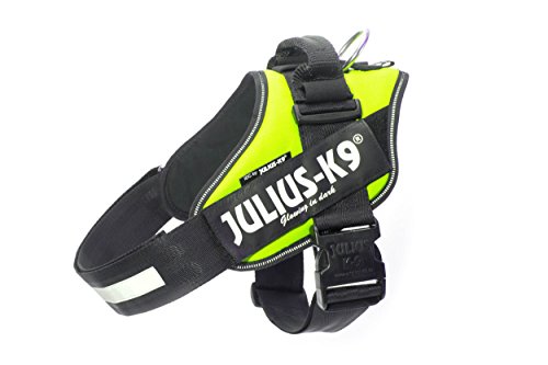 JULIUS K-9 IDC Powergeschirr, Größe: XL / 2, Neon Grün, 16IDC-NE-2 JULIUS K-9 IDC Powergeschirr, Größe: XL / 2, Neon Grün, 16IDC-NE-2 von JULIUS K-9