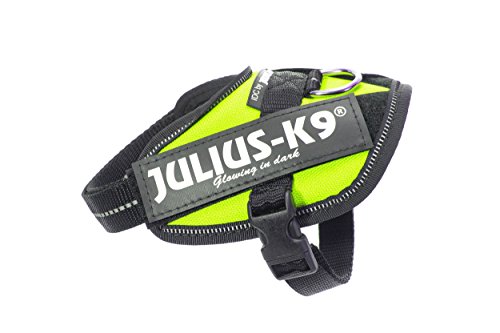 JULIUS K-9 IDC Powergeschirr, Größe: 2XS / Baby 2, Neon Grün, 16IDC-NE-B2 JULIUS K-9 IDC Powergeschirr, Größe: 2XS / Baby 2, Neon Grün, 16IDC-NE-B2 von JULIUS K-9