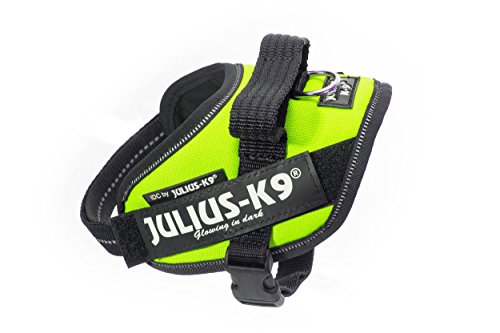 Julius K9 16IDC-NE-M IDC-Powergeschirr mit Logofeld, mini neon grün Julius K9 16IDC-NE-M IDC-Powergeschirr mit Logofeld, mini neon grün von JULIUS K-9
