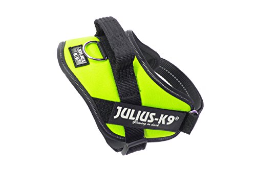 JULIUS K-9 IDC Powergeschirr, Größe: XS / Mini-Mini, Neon Grün, 16IDC-NE-MM JULIUS K-9 IDC Powergeschirr, Größe: XS / Mini-Mini, Neon Grün, 16IDC-NE-MM von JULIUS K-9