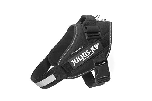 Julius-K9, IDC Powergeschirr, Größe: M/0, Schwarz von JULIUS K-9