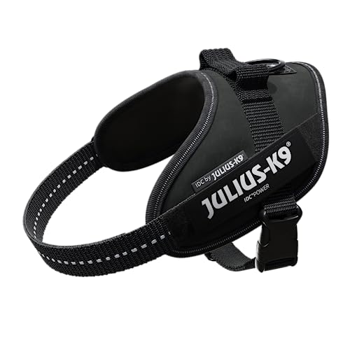 Julius K9 16IDC-P-M IDC-Powergeschirr mit Logofeld, mini schwarz Julius K9 16IDC-P-M IDC-Powergeschirr mit Logofeld, mini schwarz von JULIUS K-9