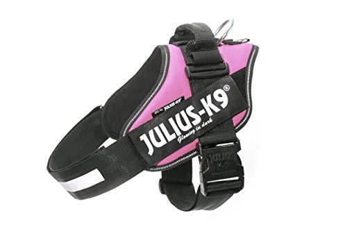 Julius K9 16IDC-PN-4 IDC-Powergeschirr mit Logofeld, Gr. 4, pink Julius K9 16IDC-PN-4 IDC-Powergeschirr mit Logofeld, Gr. 4, pink von JULIUS K-9
