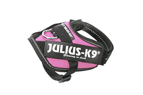Julius K9 16IDC-PN-B2 IDC-Powergeschirr mit Logofeld, Baby 2, pink Julius K9 16IDC-PN-B2 IDC-Powergeschirr mit Logofeld, Baby 2, pink von JULIUS K-9