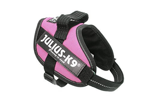 Julius K9 16IDC-PN-M IDC-Powergeschirr mit Logofeld, mini pink Julius K9 16IDC-PN-M IDC-Powergeschirr mit Logofeld, mini pink von JULIUS K-9