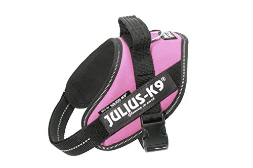 JULIUS K-9 IDC Powergeschirr, Größe: XS / Mini-Mini, Pink, 16IDC-PN-MM JULIUS K-9 IDC Powergeschirr, Größe: XS / Mini-Mini, Pink, 16IDC-PN-MM von JULIUS K-9