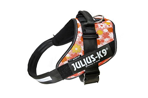 Julius-K9, IDC Powergeschirr, Größe: 2XL / 3, Pink mit Blumen Julius-K9, IDC Powergeschirr, Größe: 2XL / 3, Pink mit Blumen von JULIUS K-9