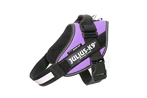 JULIUS K-9 IDC Powergeschirr, Größe: M / 0, Lila, 16IDC-PR-0 von JULIUS K-9
