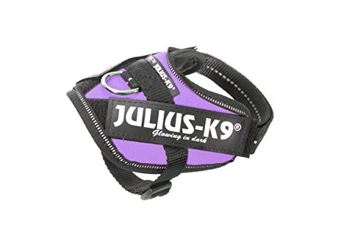 Julius-K9, IDC Powergeschirr, Größe: XL / 2, Lila von JULIUS K-9