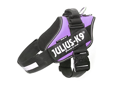 JULIUS K-9 IDC Powergeschirr, Größe: 2XL/3, Lila 16IDC-C-0 JULIUS K-9 IDC Powergeschirr, Größe: 2XL/3, Lila 16IDC-C-0 von JULIUS K-9