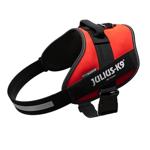 JULIUS K-9 IDC Powergeschirr, Größe: 2XL / 3, Rot, 16IDC-R-3 JULIUS K-9 IDC Powergeschirr, Größe: 2XL / 3, Rot, 16IDC-R-3 von JULIUS K-9