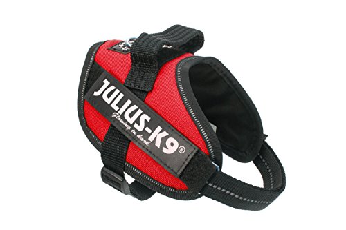 Julius K9 16IDC-R-MM IDC-Powergeschirr mit Logofeld, mini rot Julius K9 16IDC-R-MM IDC-Powergeschirr mit Logofeld, mini rot von JULIUS K-9