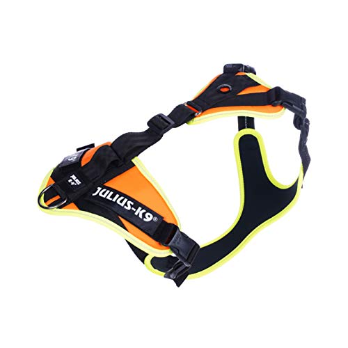 Julius-K9, 19MTR-FOR-M-AMZ, Mantrailing & Outdoor Hundegeschirr, Größe: M, UV orange mit neon Rand Julius-K9, 19MTR-FOR-M-AMZ, Mantrailing & Outdoor Hundegeschirr, Größe: M, UV orange mit neon Rand von JULIUS K-9