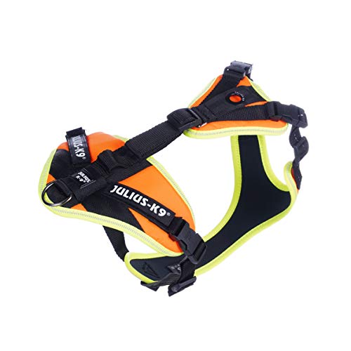 Julius-K9, 19MTR-FOR-XS-AMZ, Mantrailing & Outdoor Hundegeschirr, Größe: XS, UV orange mit neon Rand Julius-K9, 19MTR-FOR-XS-AMZ, Mantrailing & Outdoor Hundegeschirr, Größe: XS, UV orange mit neon Rand von JULIUS K-9
