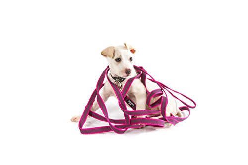 IDC Color & Gray gumierte Leine, 20 mm x 10 m mit Schlaufe, Pink-Grau IDC Color & Gray gumierte Leine, 20 mm x 10 m mit Schlaufe, Pink-Grau von JULIUS K-9