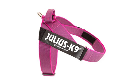 Julius-K9, Color & Gray, Beltgeschirr Julius-K9, Color & Gray, Beltgeschirr von JULIUS K-9