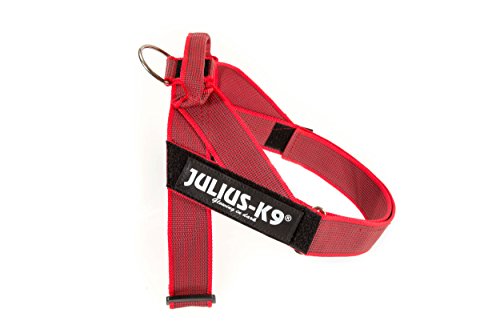 Julius-K9, IDC® Color & Gray® Beltgeschirr von JULIUS K-9