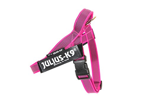 Julius-K9, Color & Gray, Beltgeschirr von JULIUS K-9
