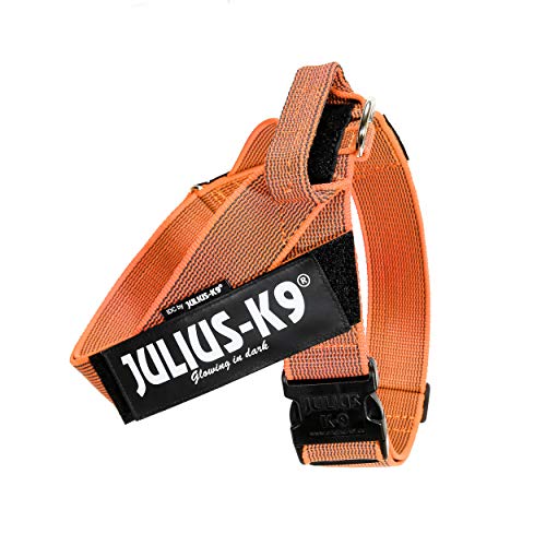 Julius-K9, Color & Gray, Beltgeschirr Julius-K9, Color & Gray, Beltgeschirr von JULIUS K-9