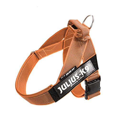 Julius-K9, Color & Gray, Beltgeschirr von JULIUS K-9