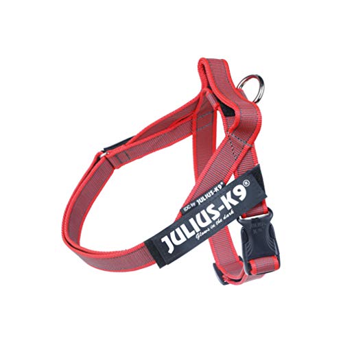Julius-K9, IDC® Color & Gray® Beltgeschirr von JULIUS K-9