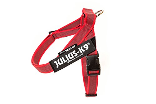 Julius-K9, IDC® Color & Gray® Beltgeschirr von JULIUS K-9