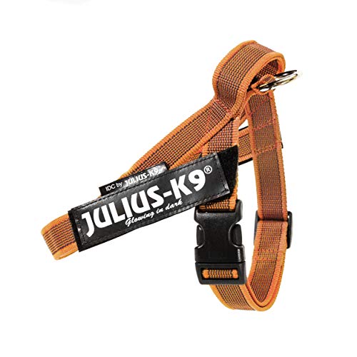 Julius-K9, Color & Gray, Beltgeschirr Julius-K9, Color & Gray, Beltgeschirr von JULIUS K-9