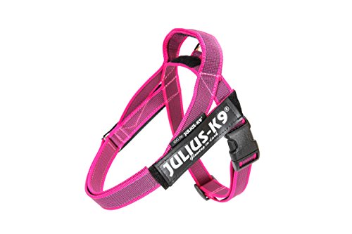 Julius-K9, Color & Gray, Beltgeschirr Julius-K9, Color & Gray, Beltgeschirr von JULIUS K-9