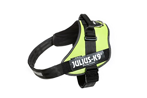 Julius-K9, IDC Powergeschirr, Größe: 2XL / 3, UV Neon Grün Julius-K9, IDC Powergeschirr, Größe: 2XL / 3, UV Neon Grün von JULIUS K-9