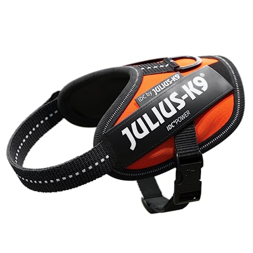 JULIUS K-9 IDC Powergeschirr, Größe: 2XS / Baby 2, UV-Orange, 16IDC-FOR-B2 JULIUS K-9 IDC Powergeschirr, Größe: 2XS / Baby 2, UV-Orange, 16IDC-FOR-B2 von JULIUS K-9
