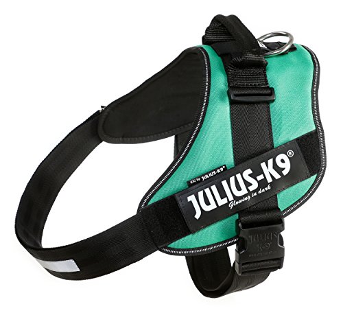 Julius-K9, IDC Powergeschirr, Größe: 3XL / 4, Grasgrün Julius-K9, IDC Powergeschirr, Größe: 3XL / 4, Grasgrün von JULIUS K-9