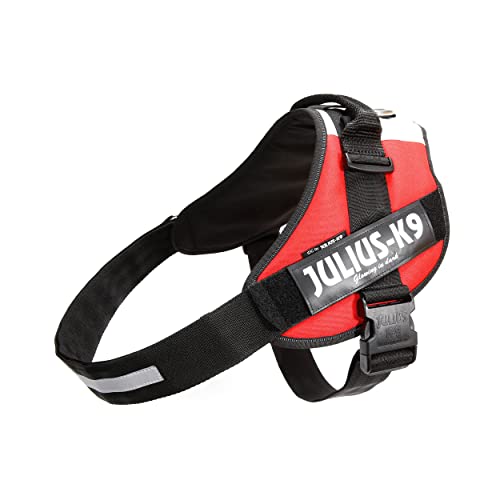 Julius-K9, IDC Powergeschirr, Größe: 3XL / 4, Ungarische Farben Julius-K9, IDC Powergeschirr, Größe: 3XL / 4, Ungarische Farben von JULIUS K-9