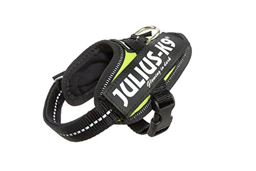 Julius-K9, IDC Powergeschirr, Größe: 3XS / Baby 1, UV Neon Grün Julius-K9, IDC Powergeschirr, Größe: 3XS / Baby 1, UV Neon Grün von JULIUS K-9
