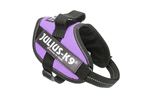 JULIUS K-9 IDC Powergeschirr, Größe: S / Mini, Lila, 16IDC-PR-M von JULIUS K-9