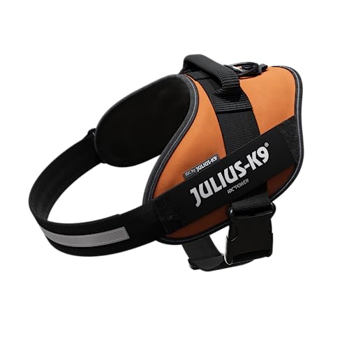 Julius-K9, IDC Powergeschirr, Größe: XL / 2, Kupferorange Julius-K9, IDC Powergeschirr, Größe: XL / 2, Kupferorange von JULIUS K-9