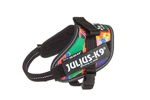 Julius-K9, IDC Powergeschirr, Größe: XS / Mini-Mini, Reggae Canis Julius-K9, IDC Powergeschirr, Größe: XS / Mini-Mini, Reggae Canis von JULIUS K-9