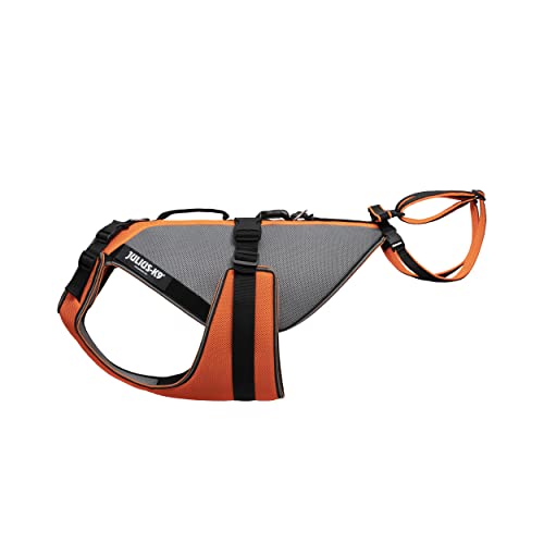 Julius-K9, Multivest, Größe: XL, UV Orange Julius-K9, Multivest, Größe: XL, UV Orange von JULIUS K-9