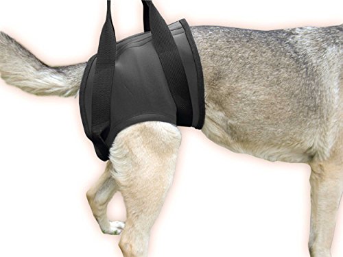 Julius-K9, Neopren Gehhilfe-Geschirr Julius-K9, Neopren Gehhilfe-Geschirr von JULIUS K-9
