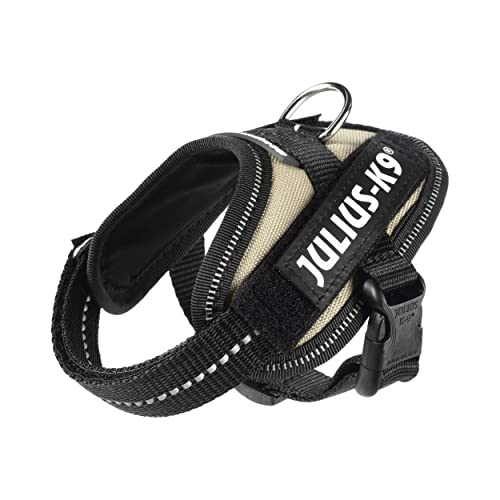 Julius K9 16IDC-BE-B1 IDC-Powergeschirr mit Logofeld, Baby 1, earth Julius K9 16IDC-BE-B1 IDC-Powergeschirr mit Logofeld, Baby 1, earth von JULIUS K-9