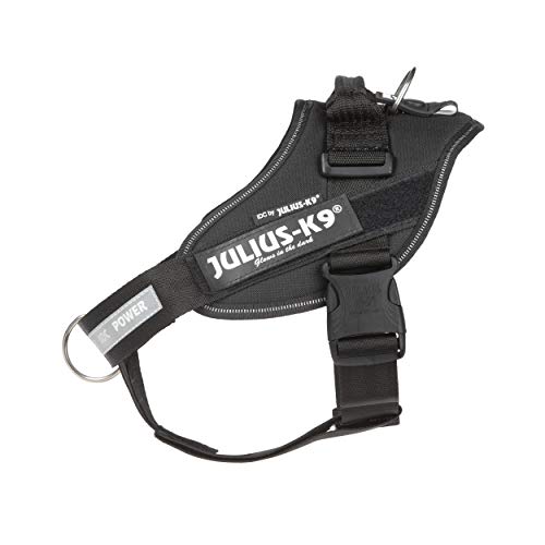 Julius-K9 16IDC-PBGHS-0 IDC Powergeschirr, Hundegeschirr mit Front Control Y-Gurt, Größe M/0, Schwarz Julius-K9 16IDC-PBGHS-0 IDC Powergeschirr, Hundegeschirr mit Front Control Y-Gurt, Größe M/0, Schwarz von JULIUS K-9