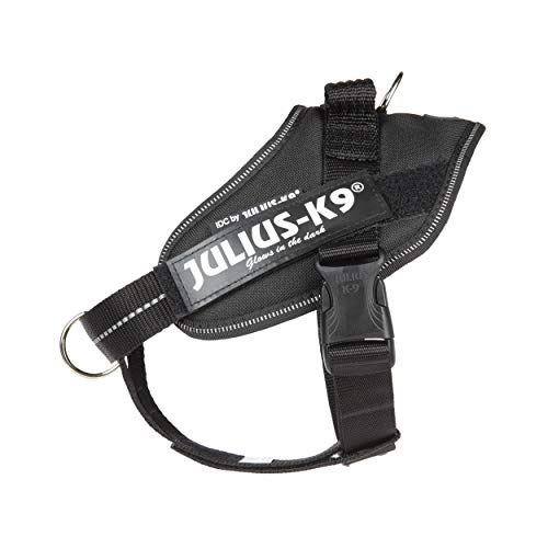 Julius-K9 16IDC-PBGHS-M IDC Powergeschirr, Hundegeschirr mit Front Control Y-Gurt, Größe: S/Mini, Schwarz Julius-K9 16IDC-PBGHS-M IDC Powergeschirr, Hundegeschirr mit Front Control Y-Gurt, Größe: S/Mini, Schwarz von JULIUS K-9