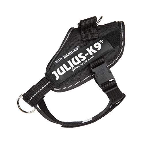 Julius-K9 16IDC-PBGHS-MM IDC Powergeschirr, Hundegeschirr mit Front Control Y-Gurt, Größe: Mini-Mini, Schwarz Julius-K9 16IDC-PBGHS-MM IDC Powergeschirr, Hundegeschirr mit Front Control Y-Gurt, Größe: Mini-Mini, Schwarz von JULIUS K-9