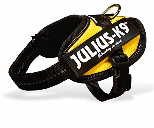 Julius K9 16IDC-SN-B1 IDC-Powergeschirr mit Logofeld, Baby 1, sun Julius K9 16IDC-SN-B1 IDC-Powergeschirr mit Logofeld, Baby 1, sun von JULIUS K-9