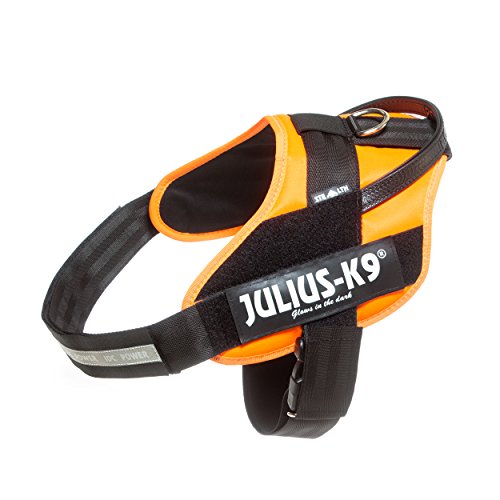 Julius-K9 16STEALTH-FOR-3 IDC Powergeschirr, Größe: 2XL/3, UV-orange Julius-K9 16STEALTH-FOR-3 IDC Powergeschirr, Größe: 2XL/3, UV-orange von JULIUS K-9