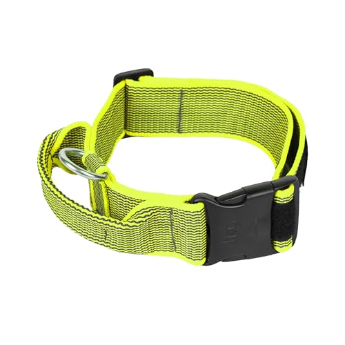 Julius-K9 200HA-K-NE-2015 Color & Gray Halsband mit Haltegriff, Sicherheitverschluss und Logo, 50 mm*49-70 cm, verstellbar, neon-grau Julius-K9 200HA-K-NE-2015 Color & Gray Halsband mit Haltegriff, Sicherheitverschluss und Logo, 50 mm*49-70 cm, verstellbar, neon-grau von JULIUS K-9