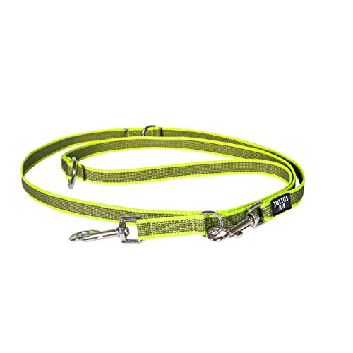 IDC Color & Gray verstellbare Leine mit Doppelkarabiner, 20 mm x 2,2 m, Neon-Grau von JULIUS K-9